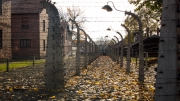 Auschwitz