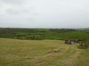 Baling the Hay