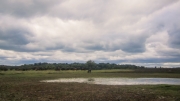 Camping in the New Forest May 2015