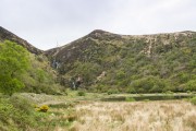 Cork Commatrush Farm