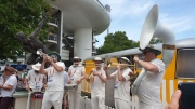 Cricket at Lords July 2019