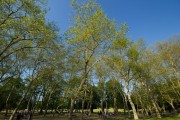 Crystal Palace Park