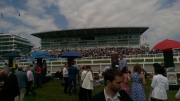 Epsom Derby 2015