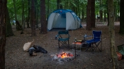 Forgewood Camping 2014