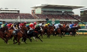 Grand National 2013