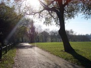 Hampstead Heath