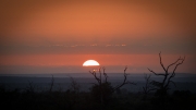 Kruger Park Game Drive Sunrise