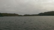 Lough Hyne