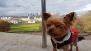 Mia Greenwich Park February 2018