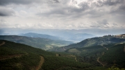 Mpumalanga Long Tom Pass