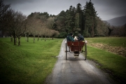 Muckross House Killarney