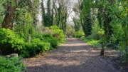 Nunhead Cemetery March 2019