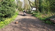 Nunhead Cemetery March 2019