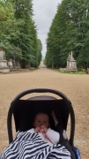 Nunhead Cemetery Walk August 2018