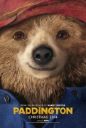 Paddington the Movie