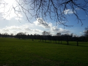 Peckham Rye Common