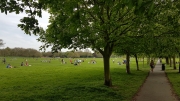 Peckham Rye Common April 2018