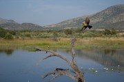 Pilanesberg April 2012