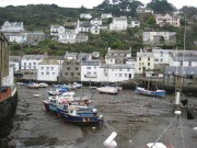 Polperro Harbour