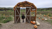 Poynings Pumpkin Patch October 2026