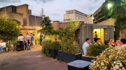 Queen Elizabeth Hall Roof Garden