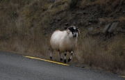 Ring of Kerry