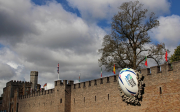 Rwc2015 Ireland vs Argentina Cardiff