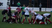 Saracens vs Munster 15 December