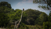 South Africa April 2017 Kruger Park