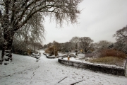 Telegraph Hill Park in the Snow