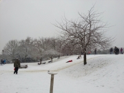 Telegraph Hill Park in the Snow