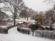 Telegraph Hill Park in the Snow