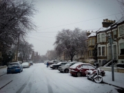 Telegraph Hill Park in the Snow