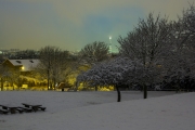 Telegraph Hill Park in the Snow