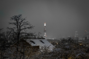 Telegraph Hill Park in the Snow