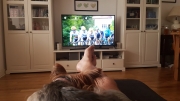 The Tour De France on TV