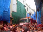 Tomatina Fight