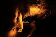 Waitomo Glowworms Cave