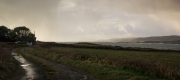 West Cork Country Road