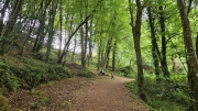 West Cork May 2025