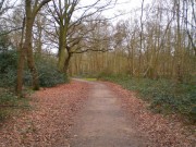 Wimbledon Common