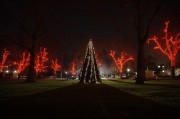 Winter Wonderland Entrance