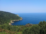 Wolfstag June 2019