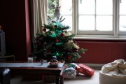 Xmas 2011 at FTG